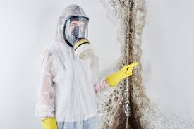 Forensic Mold Investigation in Laguna Park, TX